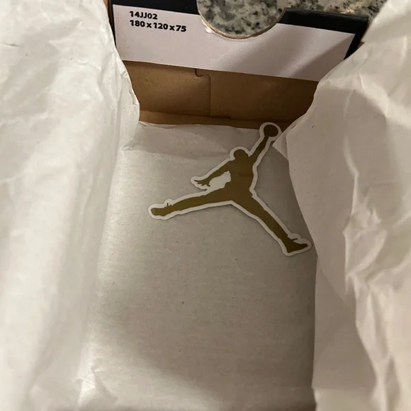 Jordan 1 Retro High OG (TD) - Black/White-White NIB. Never even tried on. - Picture 10 of 11